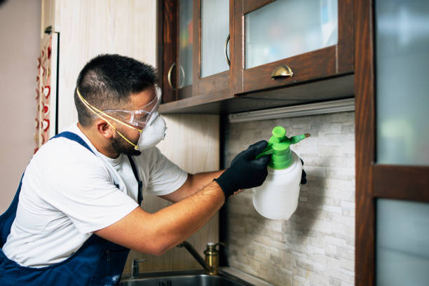 Best Commercial Pest Control Services  in Sundance, WY