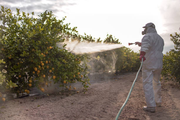 Best Affordable Pest Control Services  in Sundance, WY