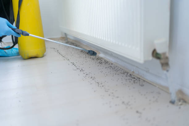 Best Exterminator Services  in Sundance, WY
