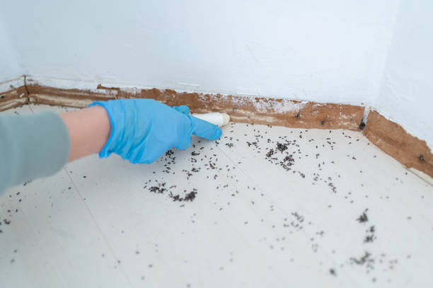 Best Pest Prevention Services  in Sundance, WY